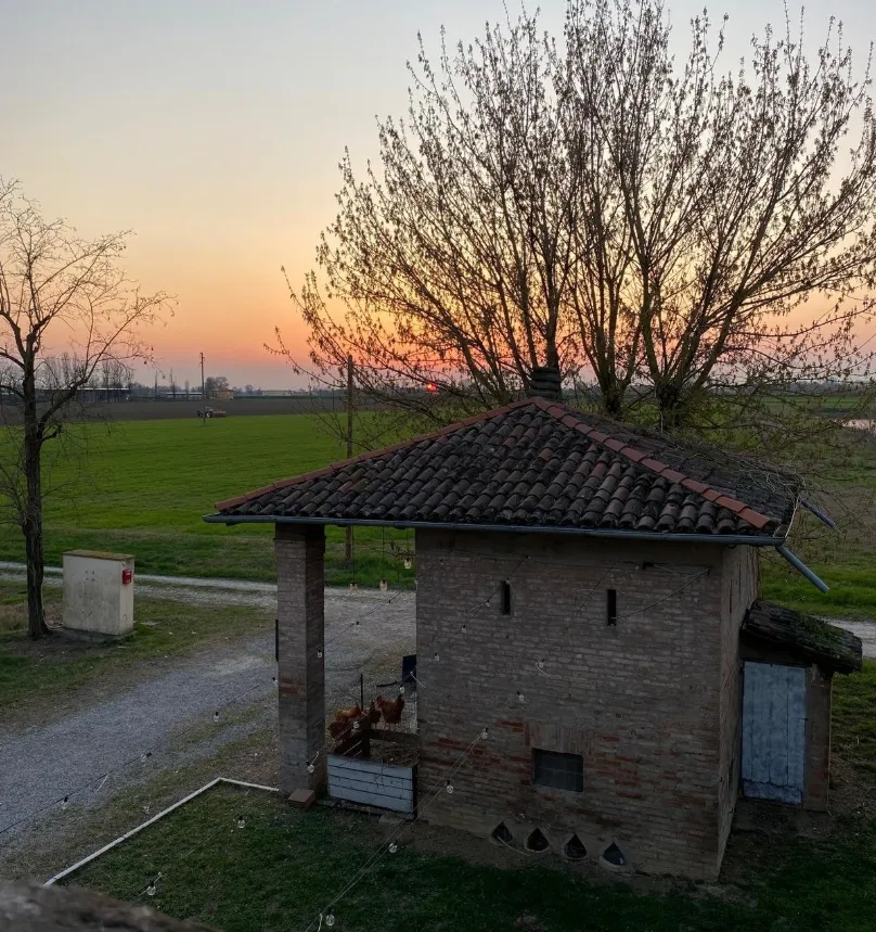 Servizi