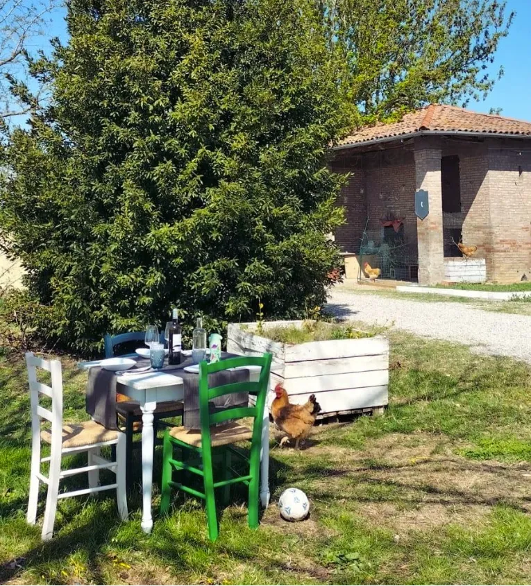 Cucina argonautica
